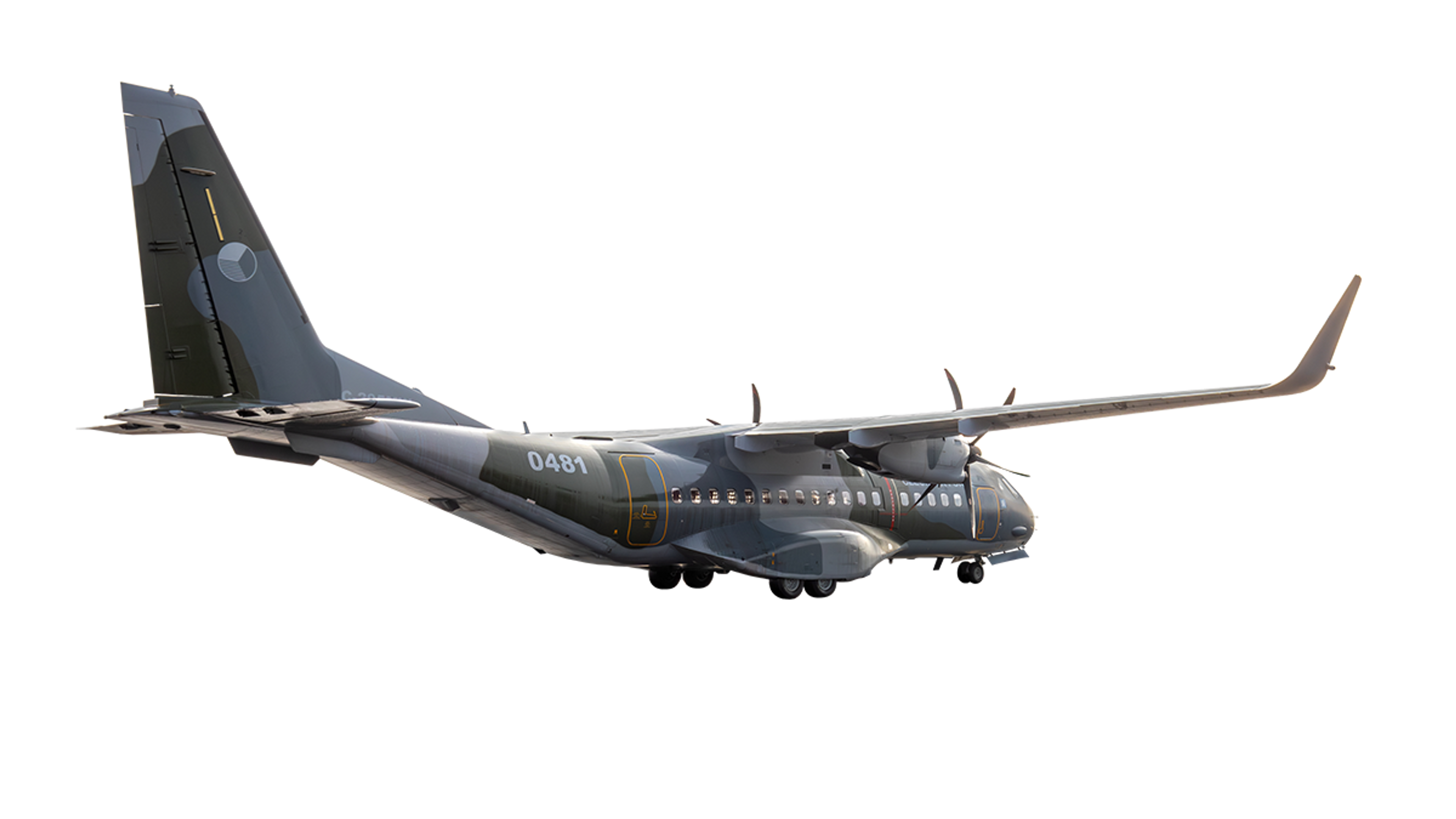 casa-c-295-0011.png
